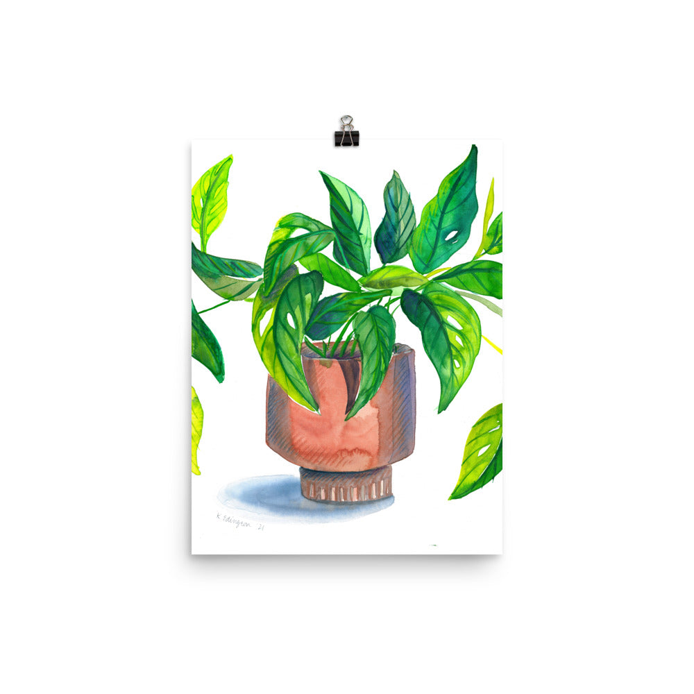 swiss cheese plant drawing Swiss Cheese Plant Art Print – Art With Mrs. E