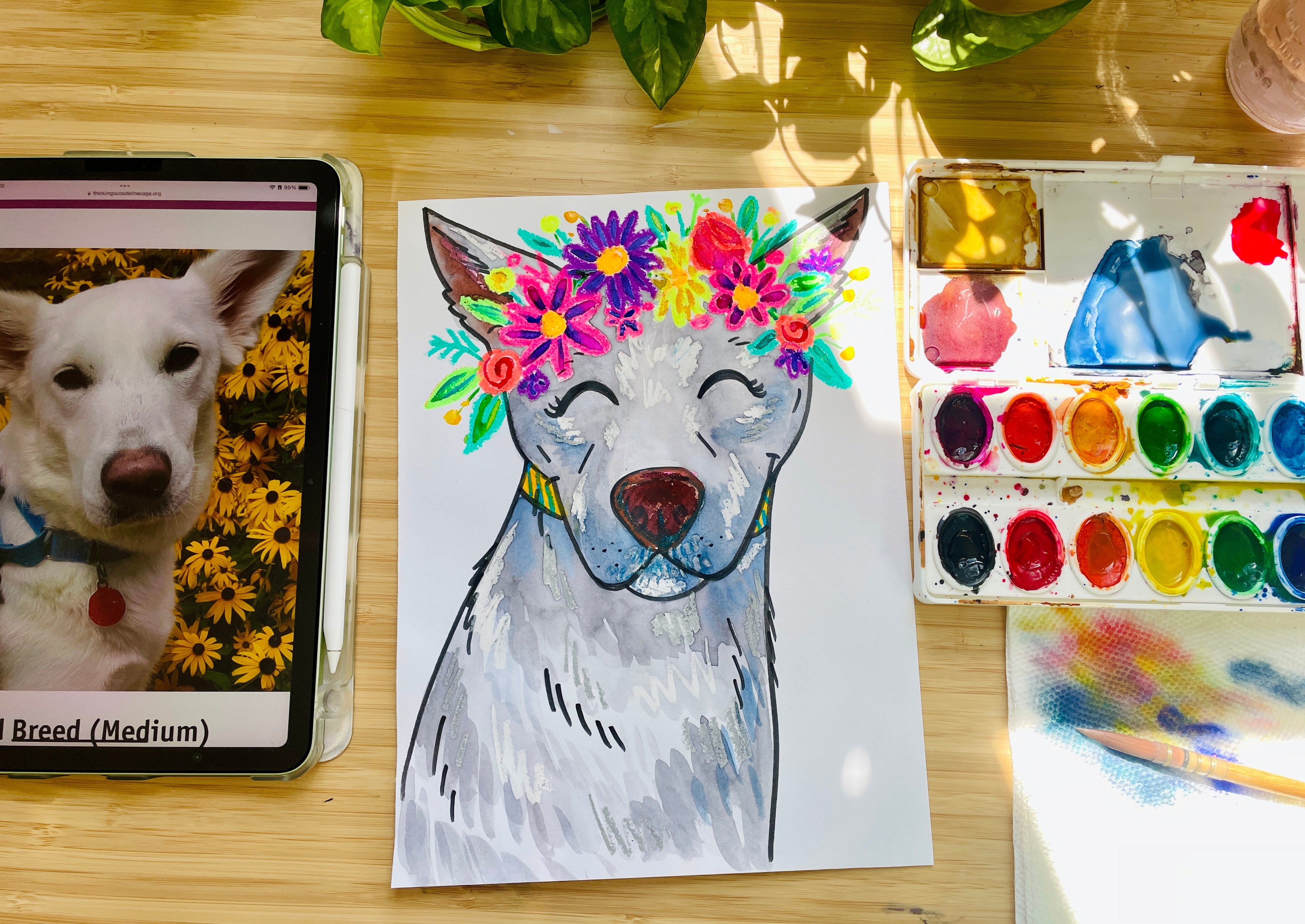 Animal Shelter Art Lesson: A Beautiful Way to Advocate for Animals in Need