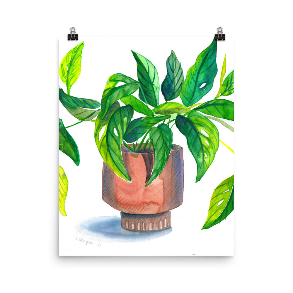 Swiss Cheese Plant Art Print