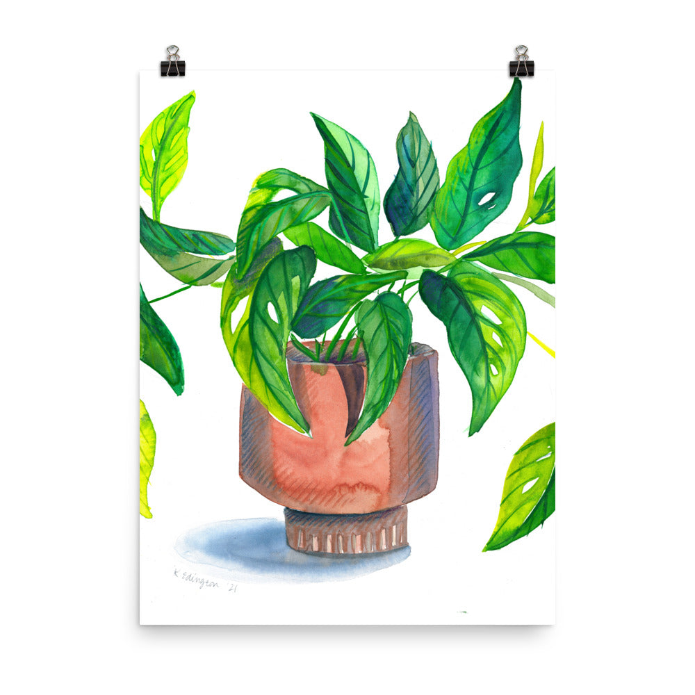 Swiss Cheese Plant Art Print